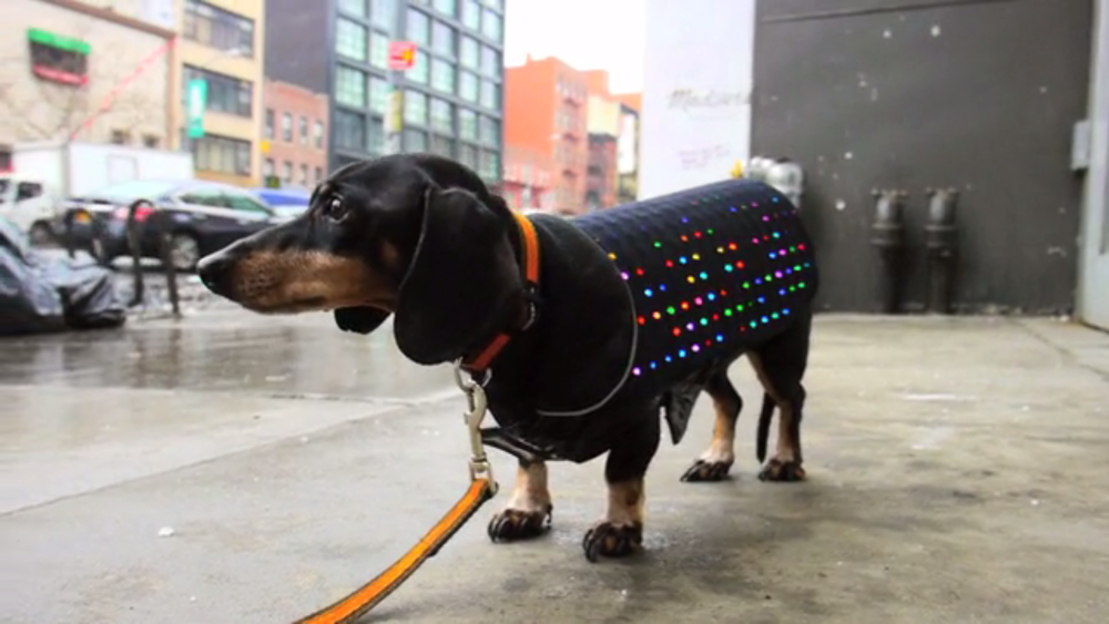 Innovation Lab: Disco Dogs, Smart Rings and Hand-crank Phones