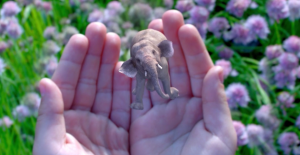 Magic Leap Valued at $4.5bn After Latest Funding Round