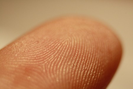 Fingerprint_detail_on_male_finger