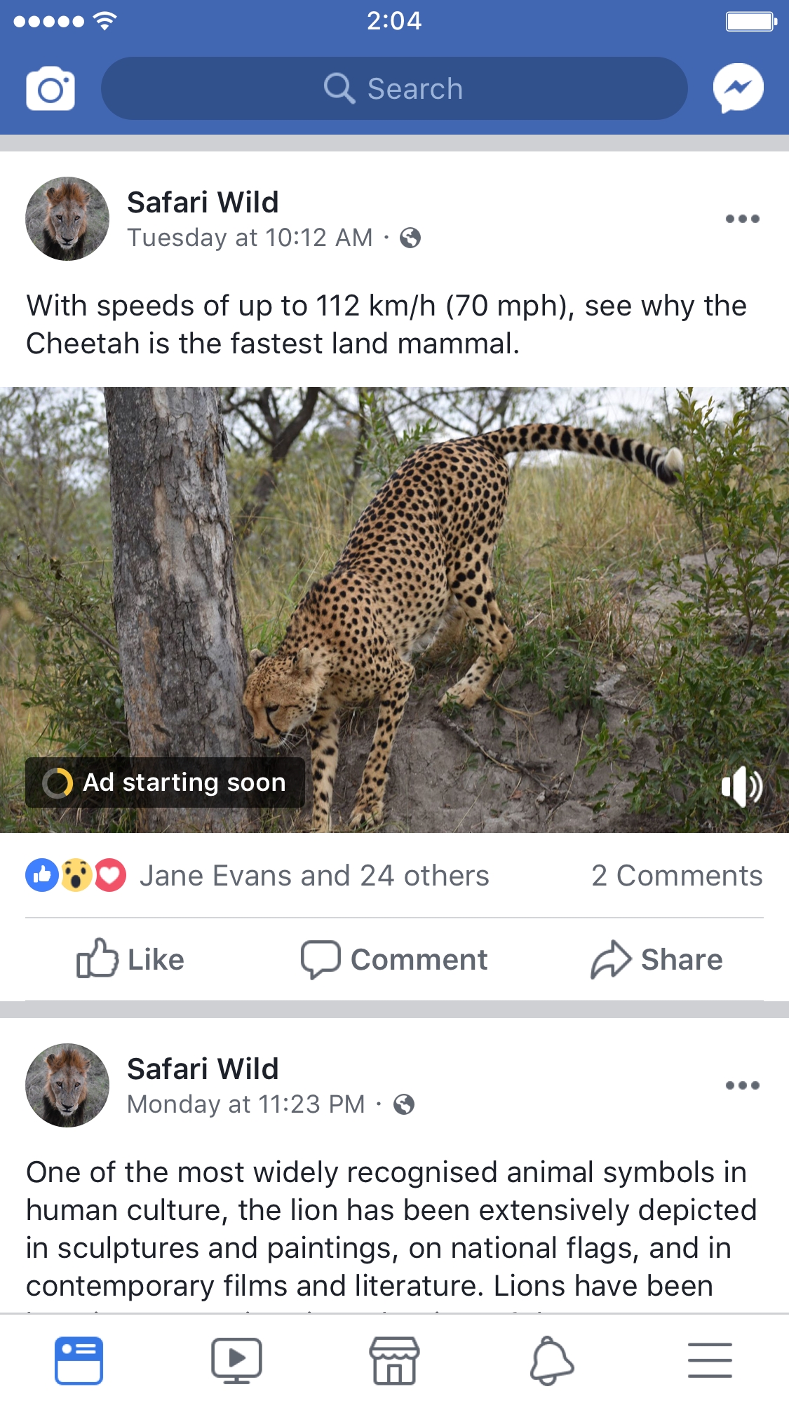 Facebook video ad break
