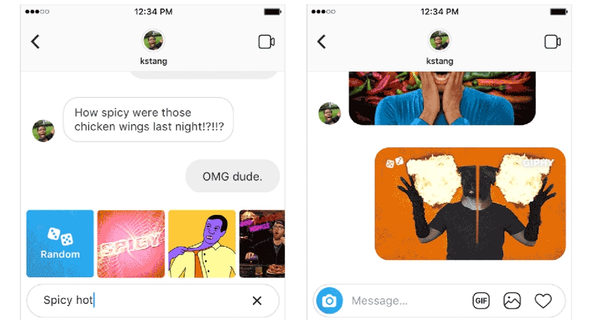 Instagram Direct Giphy GIFs