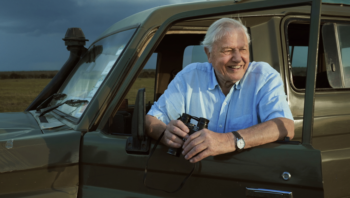 BBC takes over Spotify to promote Sir David Attenborough's latest series