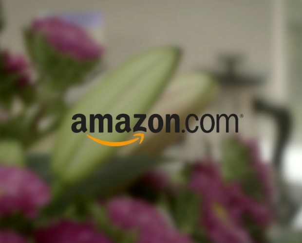 Amazon's sales growth slows but profit increases
