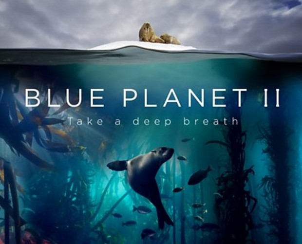 BBC inks deal with Tencent for Blue Planet II streaming in China