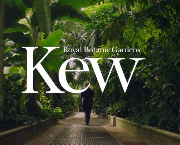 The Royal Botanic Gardens, Kew launches 'Our Future is Botanic' campaign