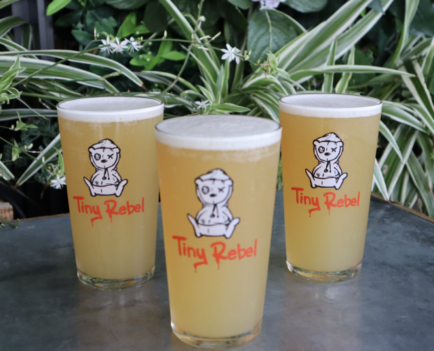 The Botanist teams up with Tiny Rebel for 'Bear Hunt' QR code-powered free beer campaign