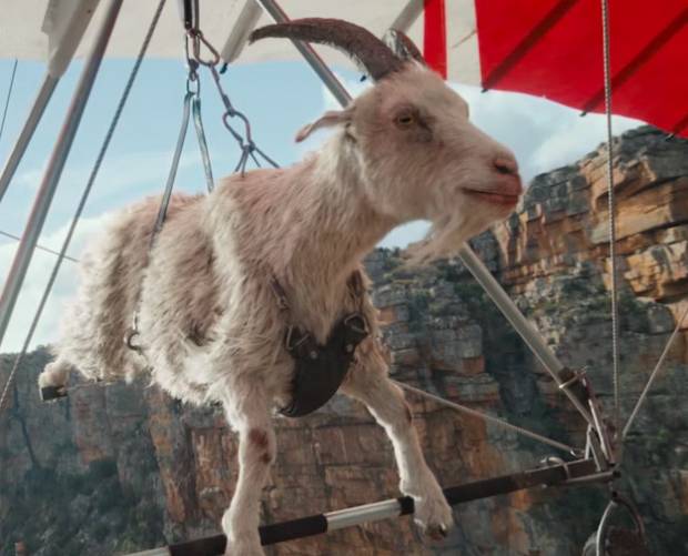 Hang-gliding goat stars in Virgin Media lastest UK campaign